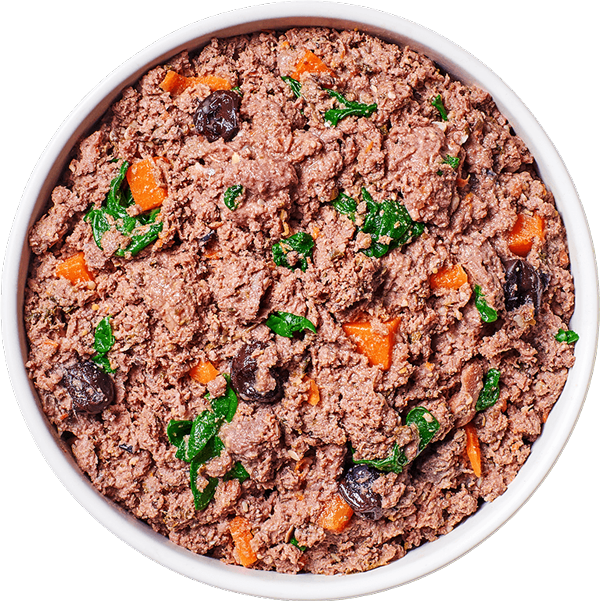 Raw Dog Food Bowl