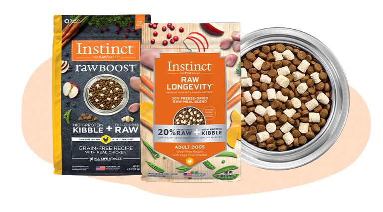 Raw + Kibble