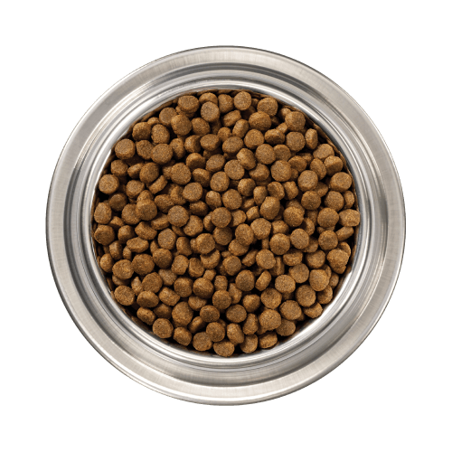 Bowl of Instinct Raw Coated Kibble