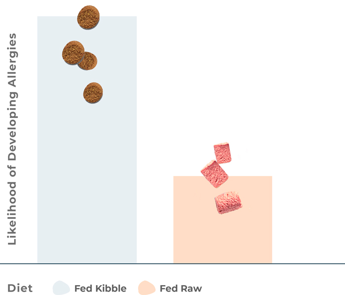 Likelihood of developing allergies by diet